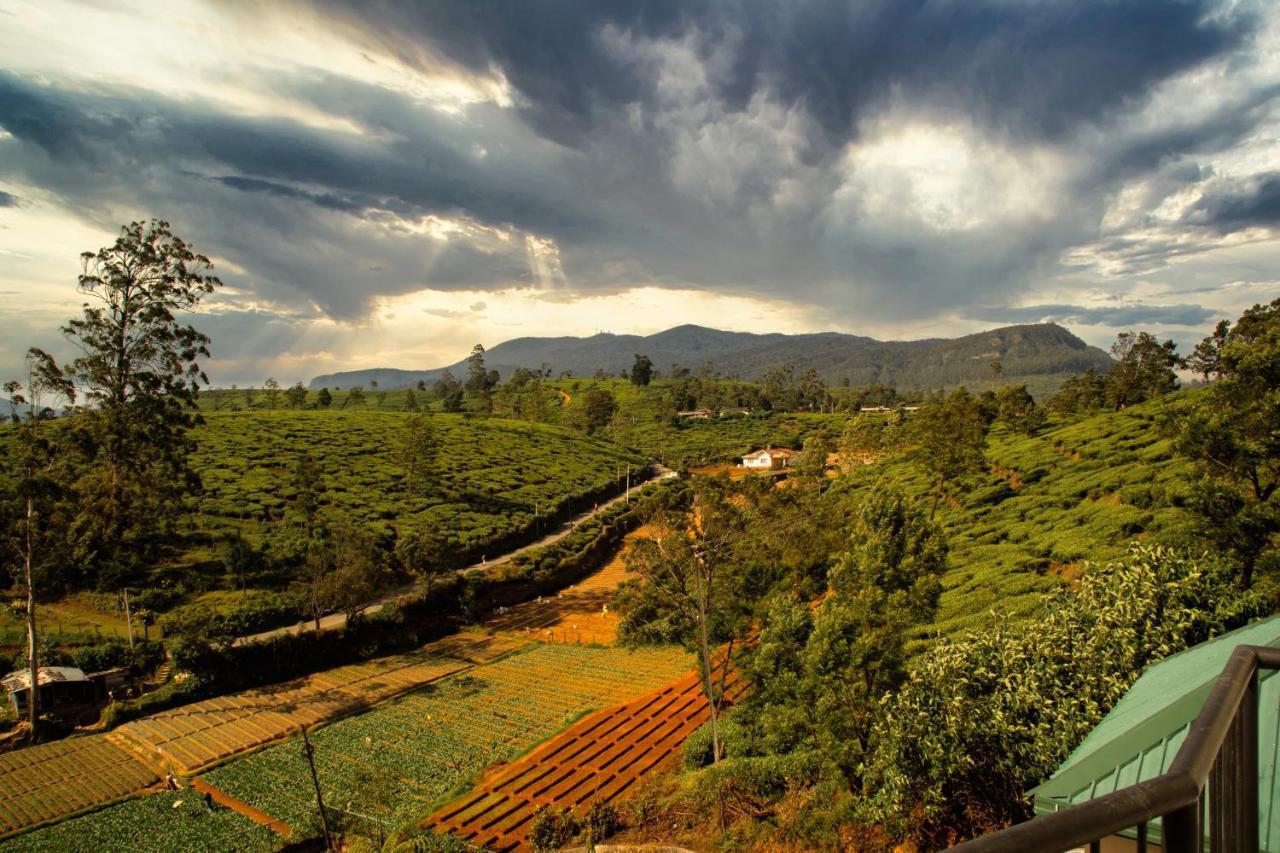 Moon Plains Luxury Apartments Nuwara Eliya Buitenkant foto